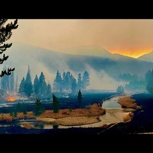 Not Rocky Mountain oysters